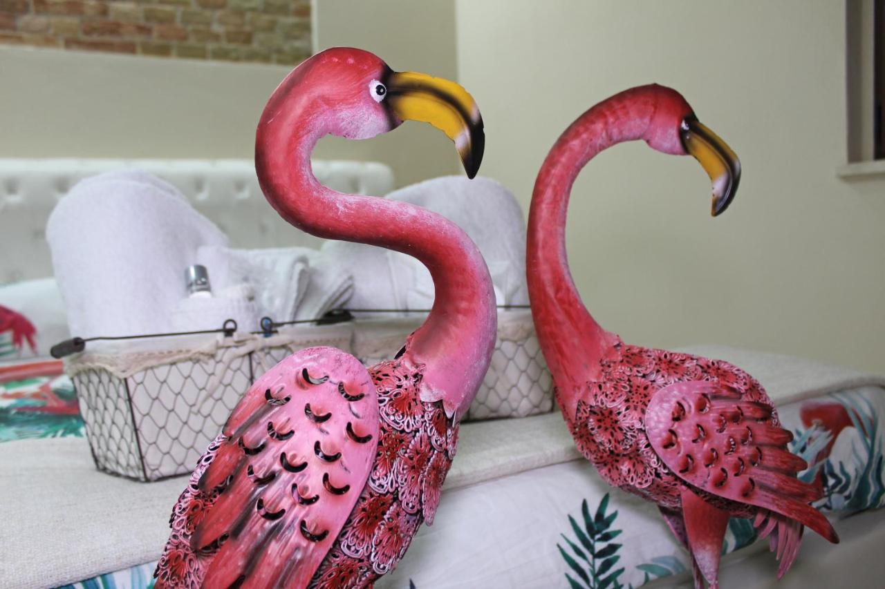 Flamingo Luxury Apartment Ajpsardinia カリアリ エクステリア 写真